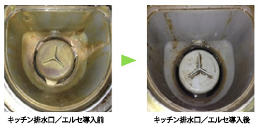 排水口にヌメリが付かない